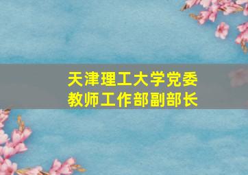 天津理工大学党委教师工作部副部长