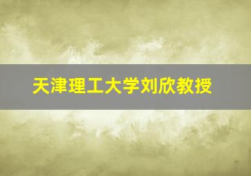 天津理工大学刘欣教授