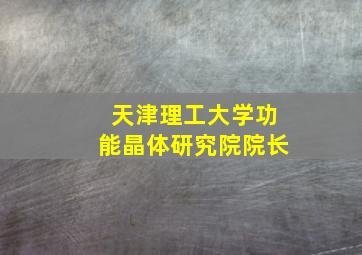 天津理工大学功能晶体研究院院长