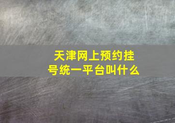 天津网上预约挂号统一平台叫什么