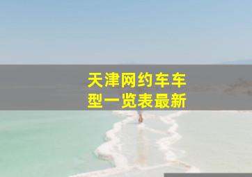 天津网约车车型一览表最新