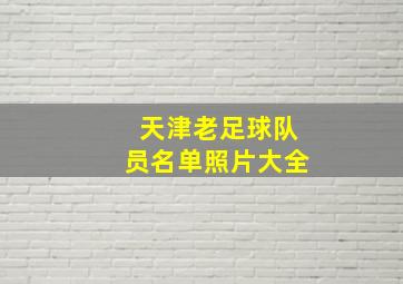 天津老足球队员名单照片大全