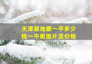 天津装地暖一平多少钱一平呢图片及价格