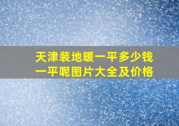 天津装地暖一平多少钱一平呢图片大全及价格