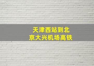 天津西站到北京大兴机场高铁