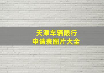 天津车辆限行申请表图片大全