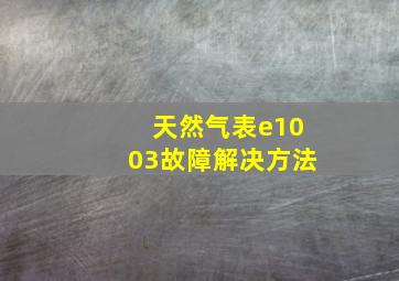 天然气表e1003故障解决方法