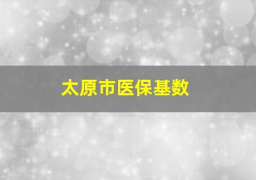 太原市医保基数