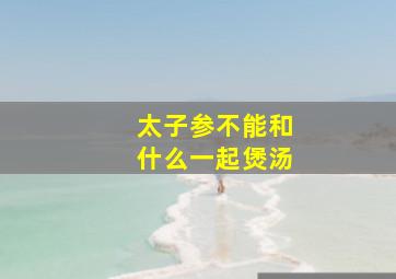 太子参不能和什么一起煲汤