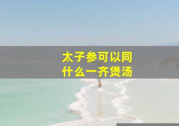 太子参可以同什么一齐煲汤