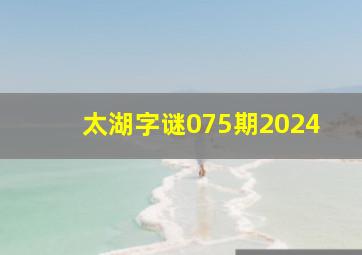 太湖字谜075期2024