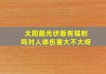 太阳能光伏板有辐射吗对人体伤害大不大呀