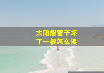 太阳能管子坏了一根怎么换