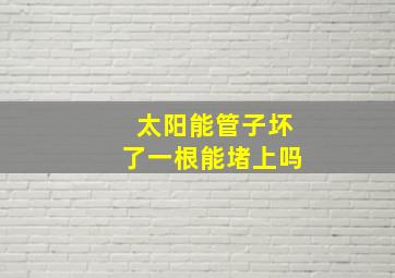 太阳能管子坏了一根能堵上吗