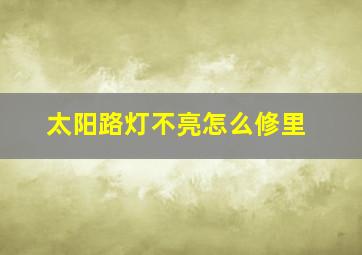 太阳路灯不亮怎么修里