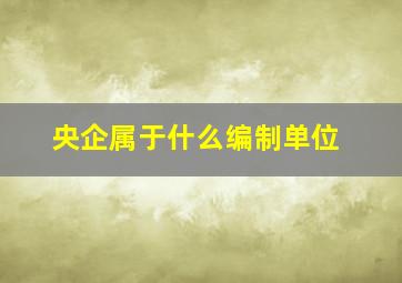 央企属于什么编制单位