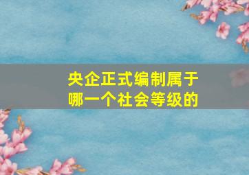 央企正式编制属于哪一个社会等级的