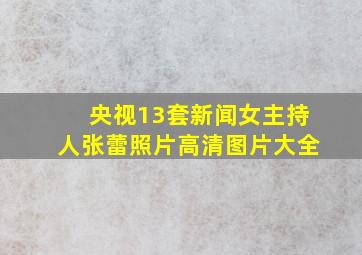 央视13套新闻女主持人张蕾照片高清图片大全