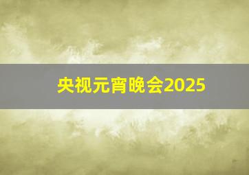 央视元宵晚会2025