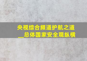 央视综合频道护航之道__总体国家安全观纵横