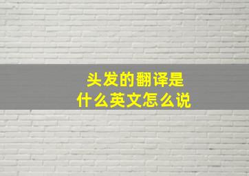 头发的翻译是什么英文怎么说