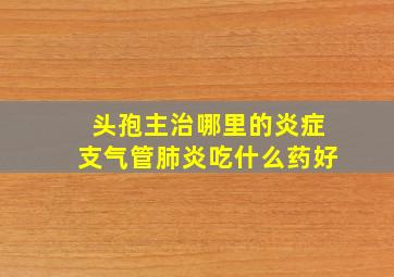 头孢主治哪里的炎症支气管肺炎吃什么药好