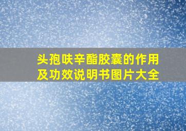 头孢呋辛酯胶囊的作用及功效说明书图片大全