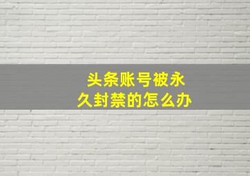 头条账号被永久封禁的怎么办