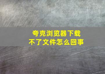 夸克浏览器下载不了文件怎么回事