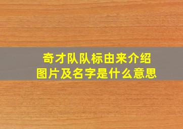 奇才队队标由来介绍图片及名字是什么意思