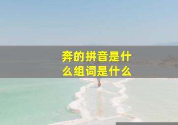 奔的拼音是什么组词是什么