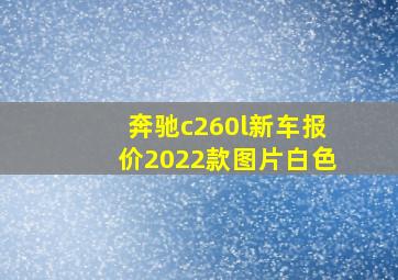 奔驰c260l新车报价2022款图片白色