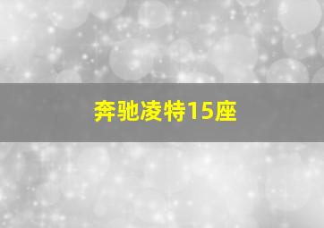 奔驰凌特15座