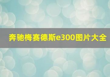 奔驰梅赛德斯e300图片大全