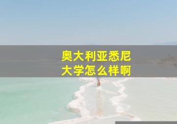 奥大利亚悉尼大学怎么样啊