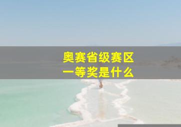 奥赛省级赛区一等奖是什么