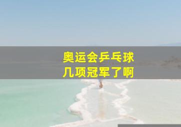 奥运会乒乓球几项冠军了啊