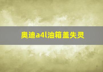 奥迪a4l油箱盖失灵