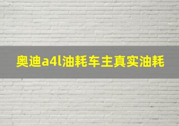 奥迪a4l油耗车主真实油耗