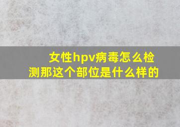 女性hpv病毒怎么检测那这个部位是什么样的