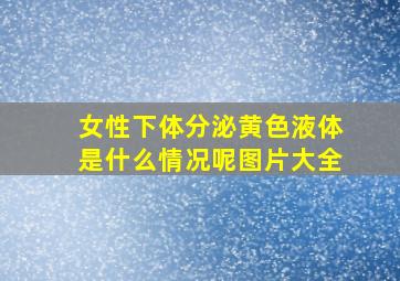 女性下体分泌黄色液体是什么情况呢图片大全