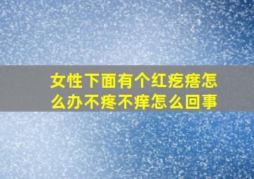 女性下面有个红疙瘩怎么办不疼不痒怎么回事