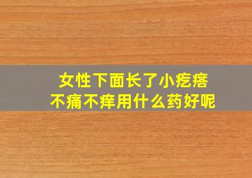 女性下面长了小疙瘩不痛不痒用什么药好呢