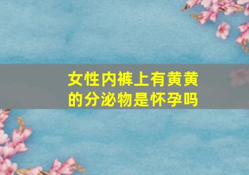 女性内裤上有黄黄的分泌物是怀孕吗