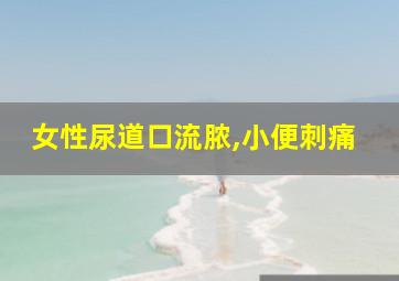 女性尿道口流脓,小便刺痛