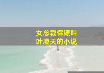 女总裁保镖叫叶凌天的小说