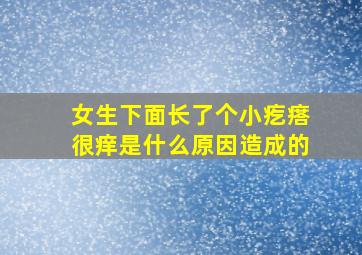 女生下面长了个小疙瘩很痒是什么原因造成的