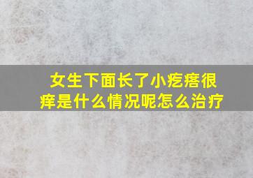 女生下面长了小疙瘩很痒是什么情况呢怎么治疗