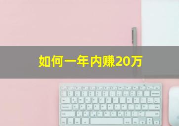 如何一年内赚20万