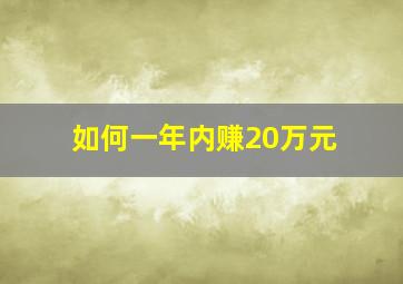 如何一年内赚20万元